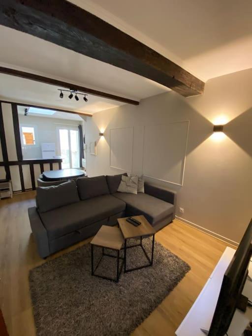 אורליאן Appartement Charmant Hypercentre Avec Patio Prive Et Parking מראה חיצוני תמונה